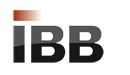 IBB Adaptive Solutions GmbH