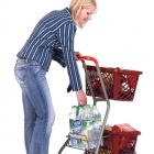 Photo: Pick-up trolley and GT26 shopping basket