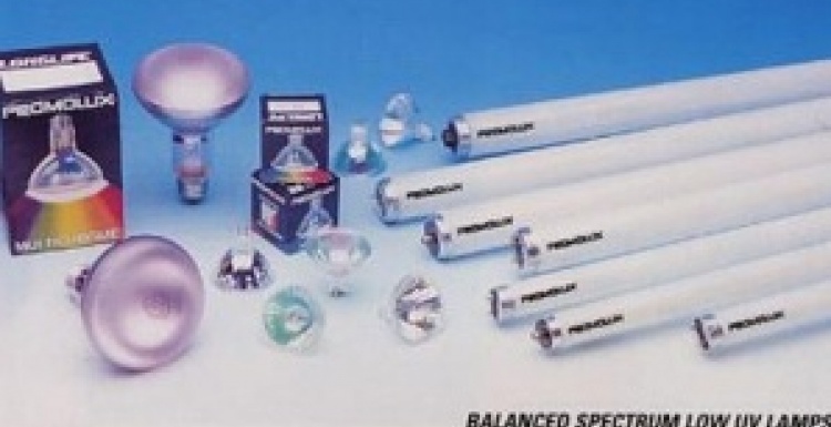 Photo: Spectrum Lamps for Food Safe and Balanced Spectrum Food Lighting...