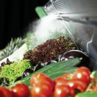 Photo: Presenting the Ultimate Solution for Ultra-Fresh Displays...