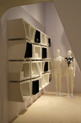 impression´s from the topical Dattenberg collection...