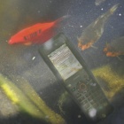 Photo: DT-X8 - Smaller, more versatile and even more robust...