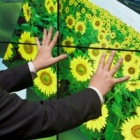 Photo: MultiTouch at ISE