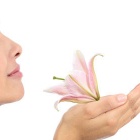 Photo: Ambient scents help calm shoppers