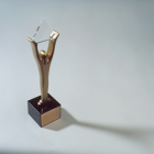 Photo: Toshiba Awarded Gold Stevie for Best Overall Web Design...