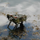 Photo: Clean is sympathetic - aids for hygienic retail...