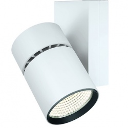 Photo: Bit Spotlight