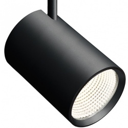 Photo: Suno Spotlight