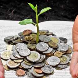 Photo: Retail industry: act sustainably and talk about it!...