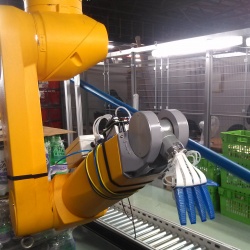 Photo: Ocado evaluated robotic picking and packing of shopping orders...