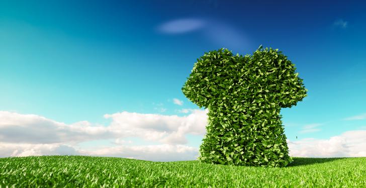 Outdoor background with sky and grass, leaves in form of a big t-shirt;...