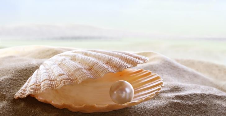 A pearl in a shell on the beach; Copyright: panthermedia.net/silvae...