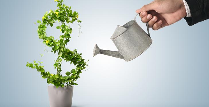 Hand of a business man in a suit watering a plant in the form of a dollar sign;...