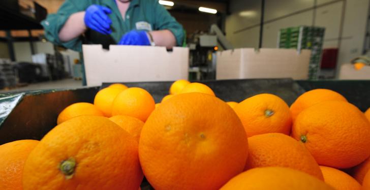 Tangerines in the foreground, behind them a person working in a warehouse and...