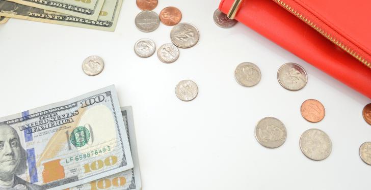 bank notes, coins and a purse on a white background...