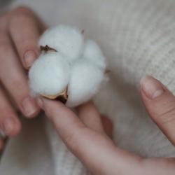 Thumbnail-Photo: U.S. Cotton Trust Protocol recognized and published in ITC Standards...