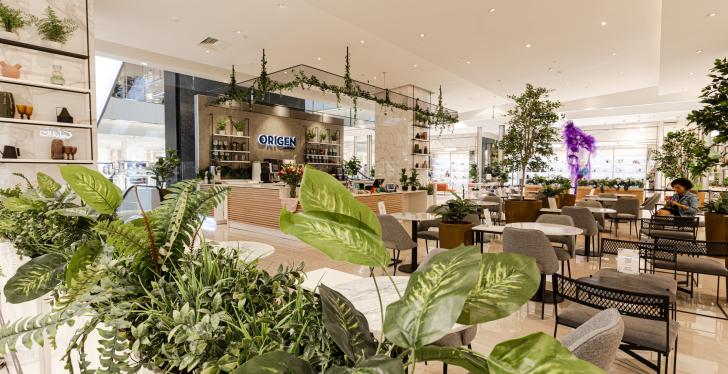 A bright bistro with lots of plants