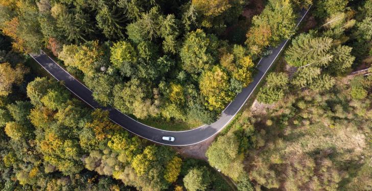 A road leads through a forest, view from above