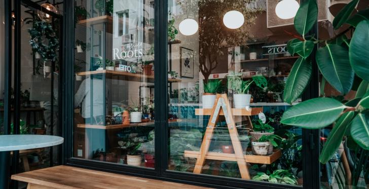 A shop window with plants inside; Copyright: Ceyda Çiftci / Unsplash...