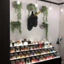A black cardboard unicorn head between hanging plants on a wall above a goods...