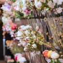 Cut flowers in a row