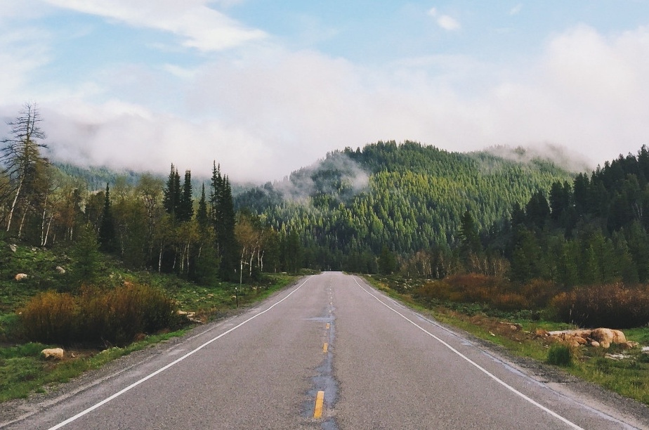 A road in a forest, leading to some mountains