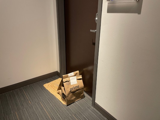 Two bags standing in front of a flat door