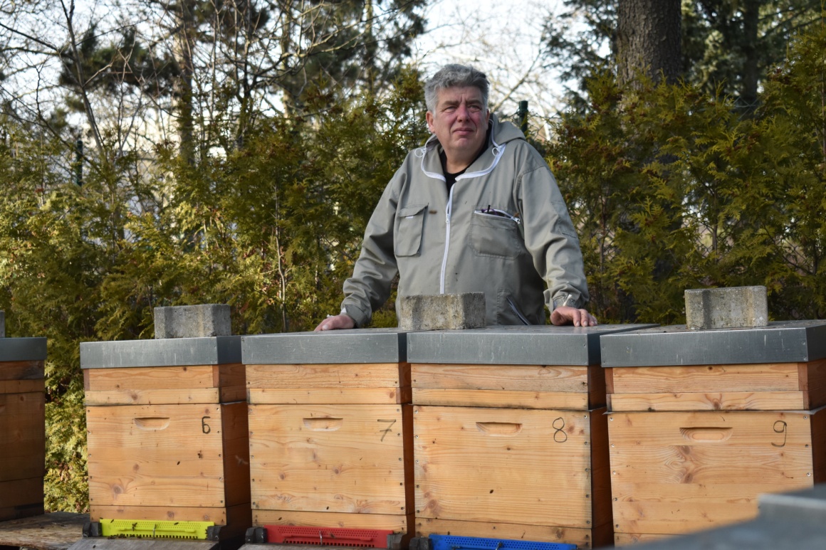 Man with grey jacket stands behind four beehives