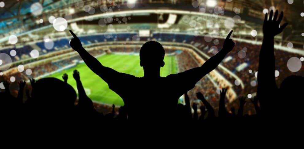 Cheering soccer fan in stadium