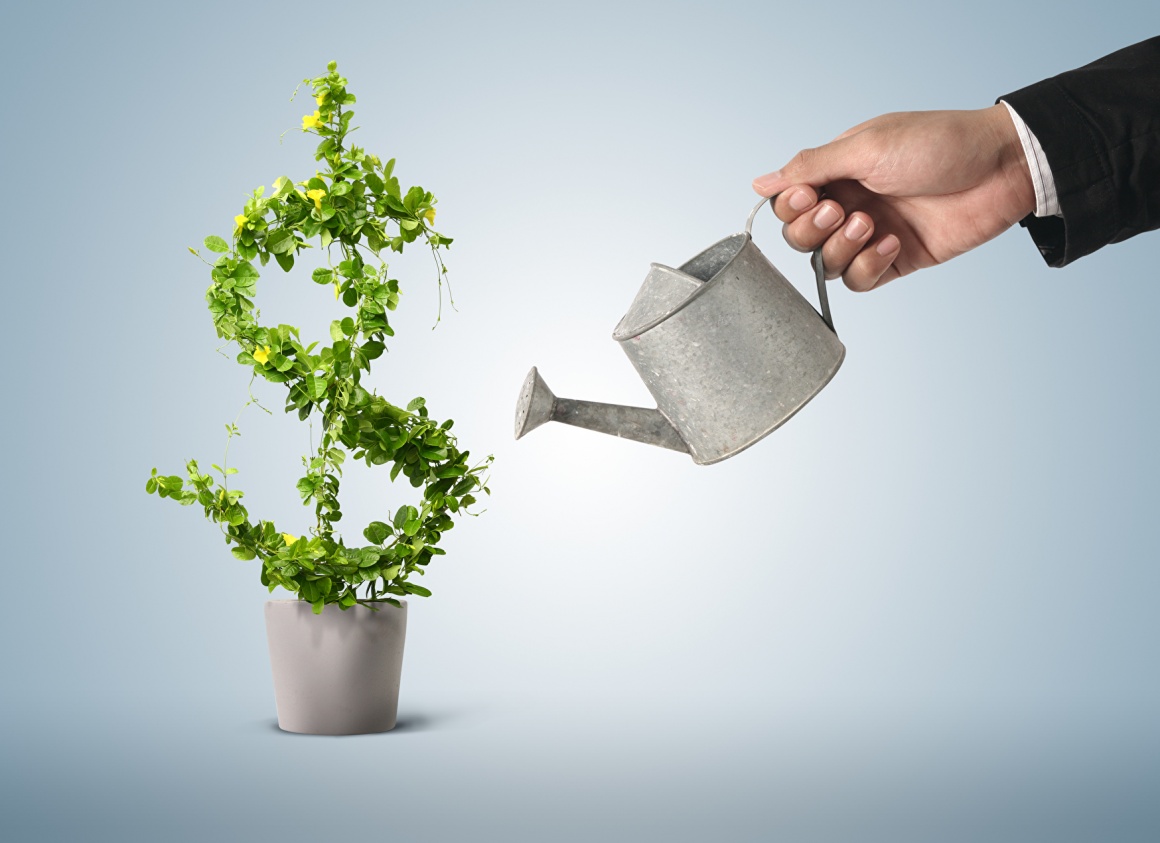 Hand of a business man in a suit watering a plant in the form of a dollar sign;...