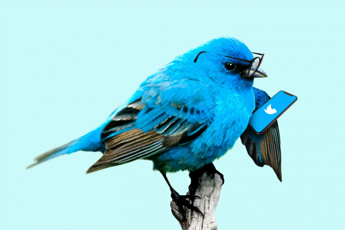 A blue bird with glasses is looking at a smartphone with the twitter social...